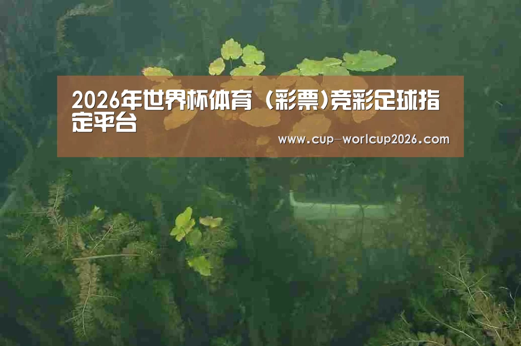 案例展示三