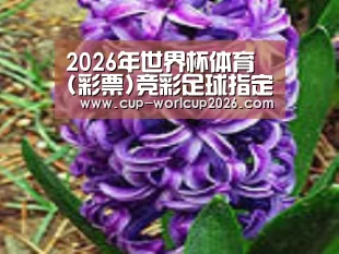 产品名称八
