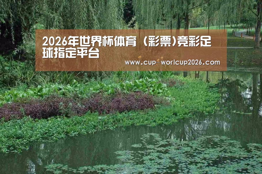 案例展示一